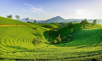 Çay ve Geleneksel İkram Kültürü | Türk Misafirperverliğinin Simgesi