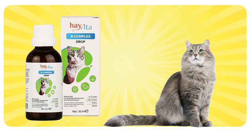 Kedi Vitamin