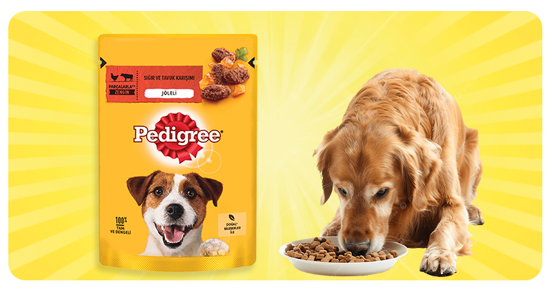 Köpek Maması