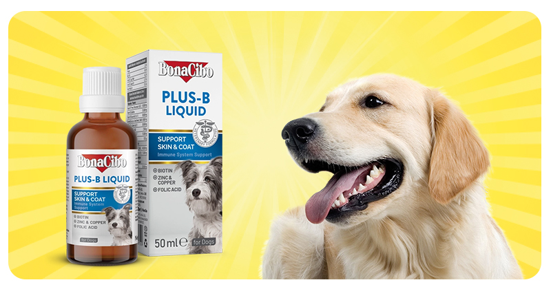 Köpek Vitamin