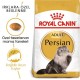Persian Adult Kuru Kedi Maması 400 Gr Persian Adult Kuru Kedi Maması 400 Gr
