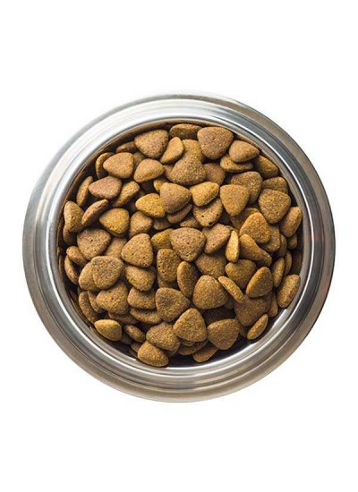 Biftekli Yetişkin Köpek Maması 15kg Biftekli Yetişkin Köpek Maması 15kg